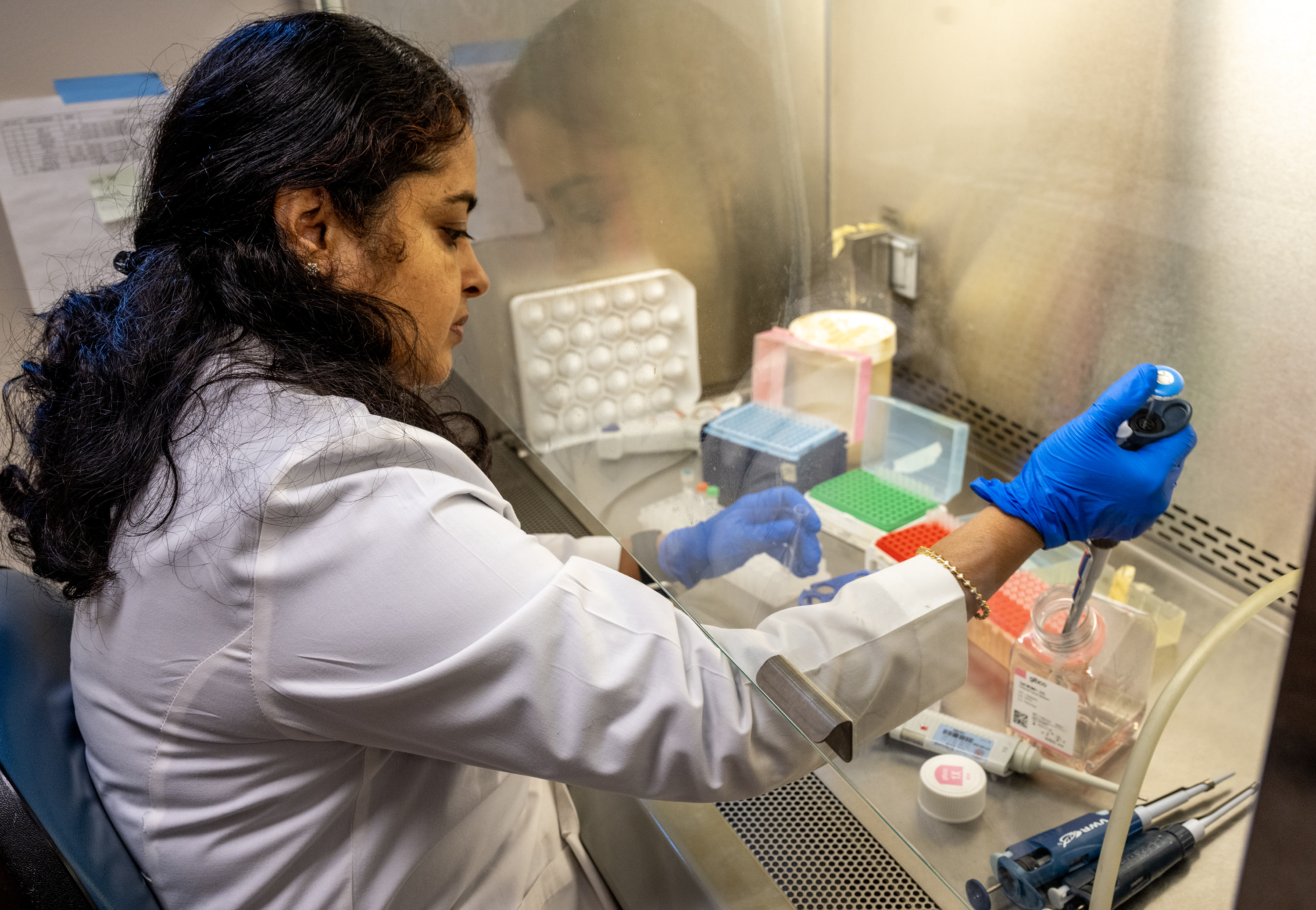 Molecular Structure Graphic